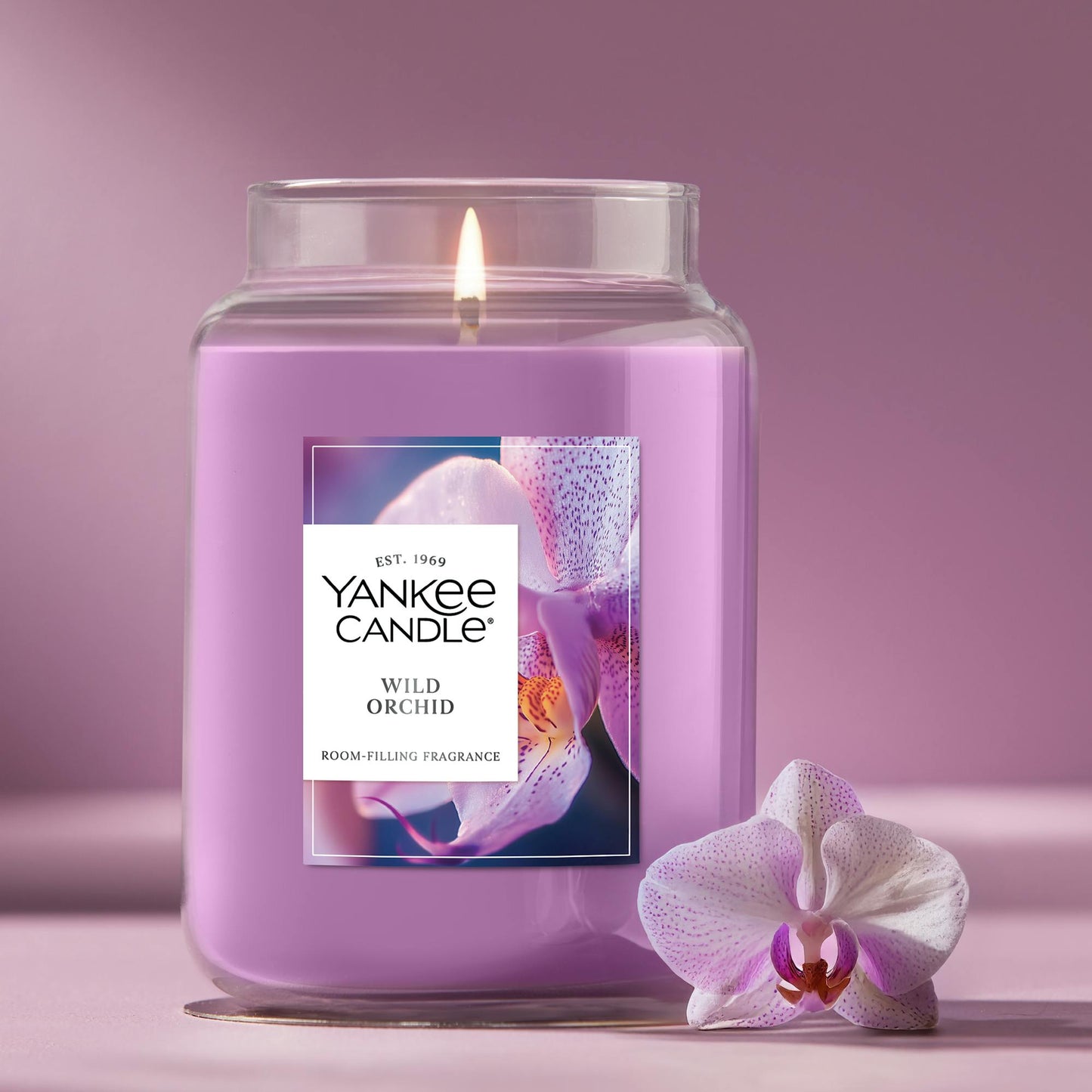 Wild Orchid