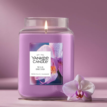 Wild Orchid