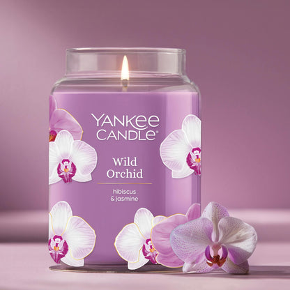 Wild Orchid