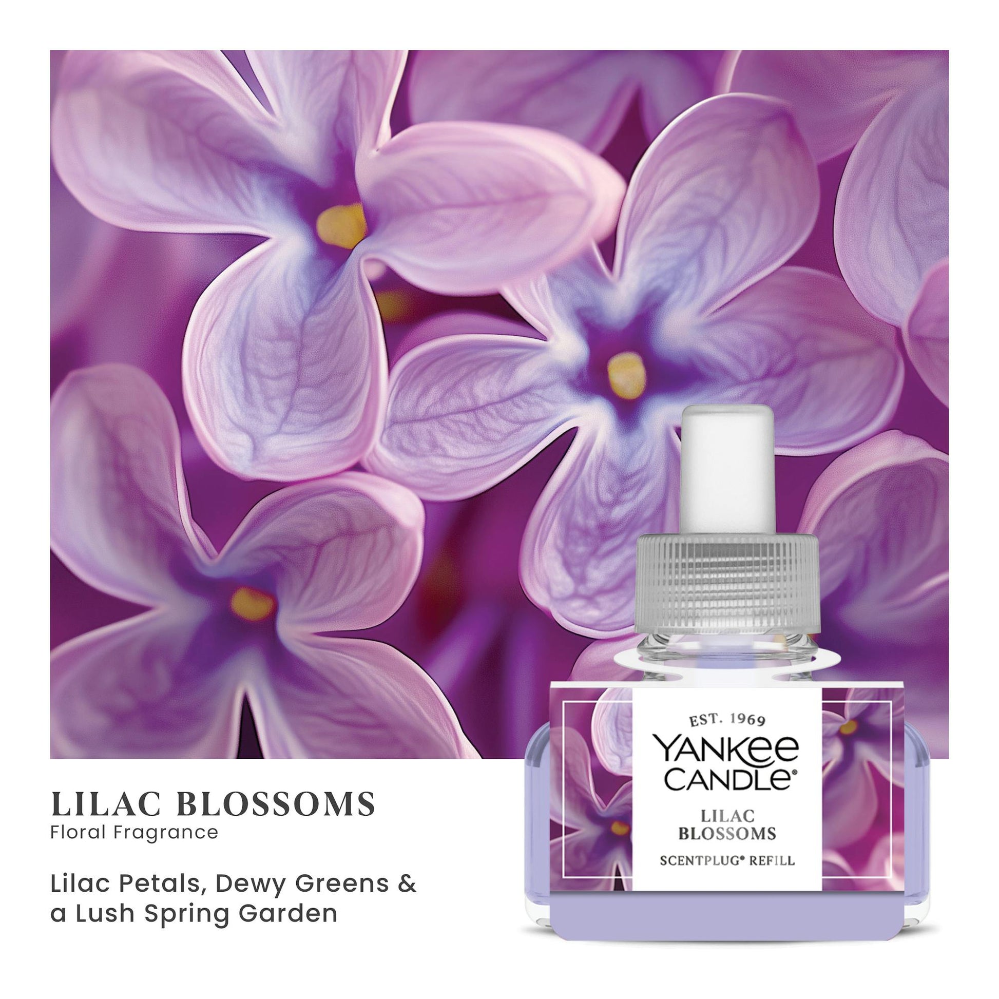 Lilac Blossoms