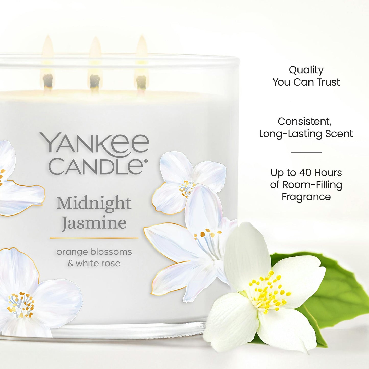 Midnight Jasmine