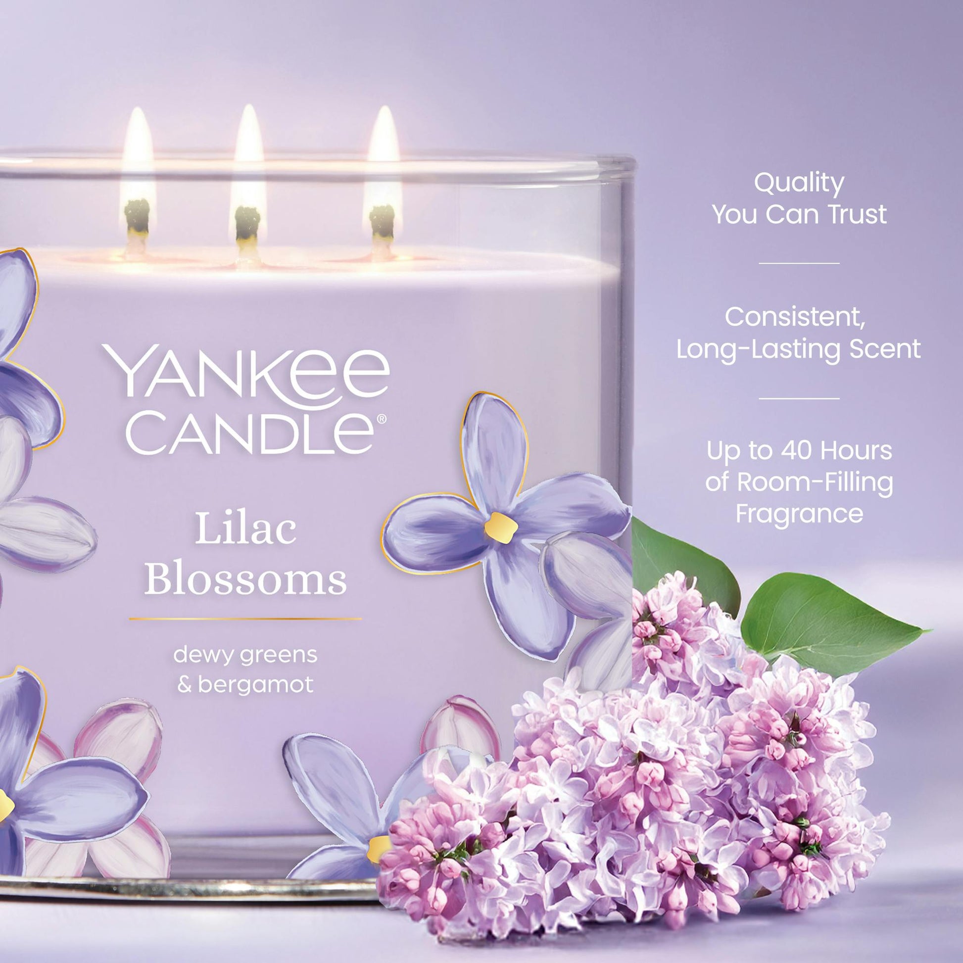 Lilac Blossoms