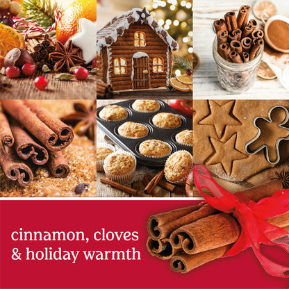 sparkling cinnamon candles banner