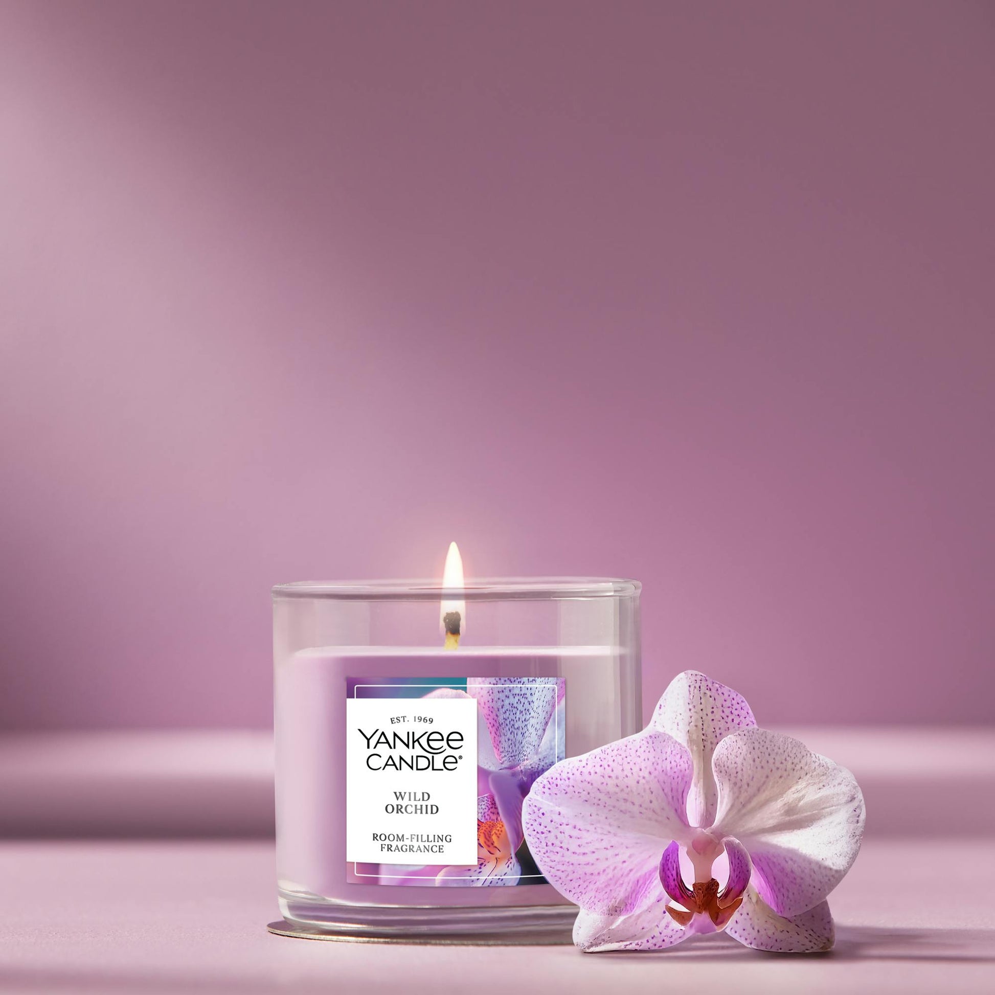 Wild Orchid