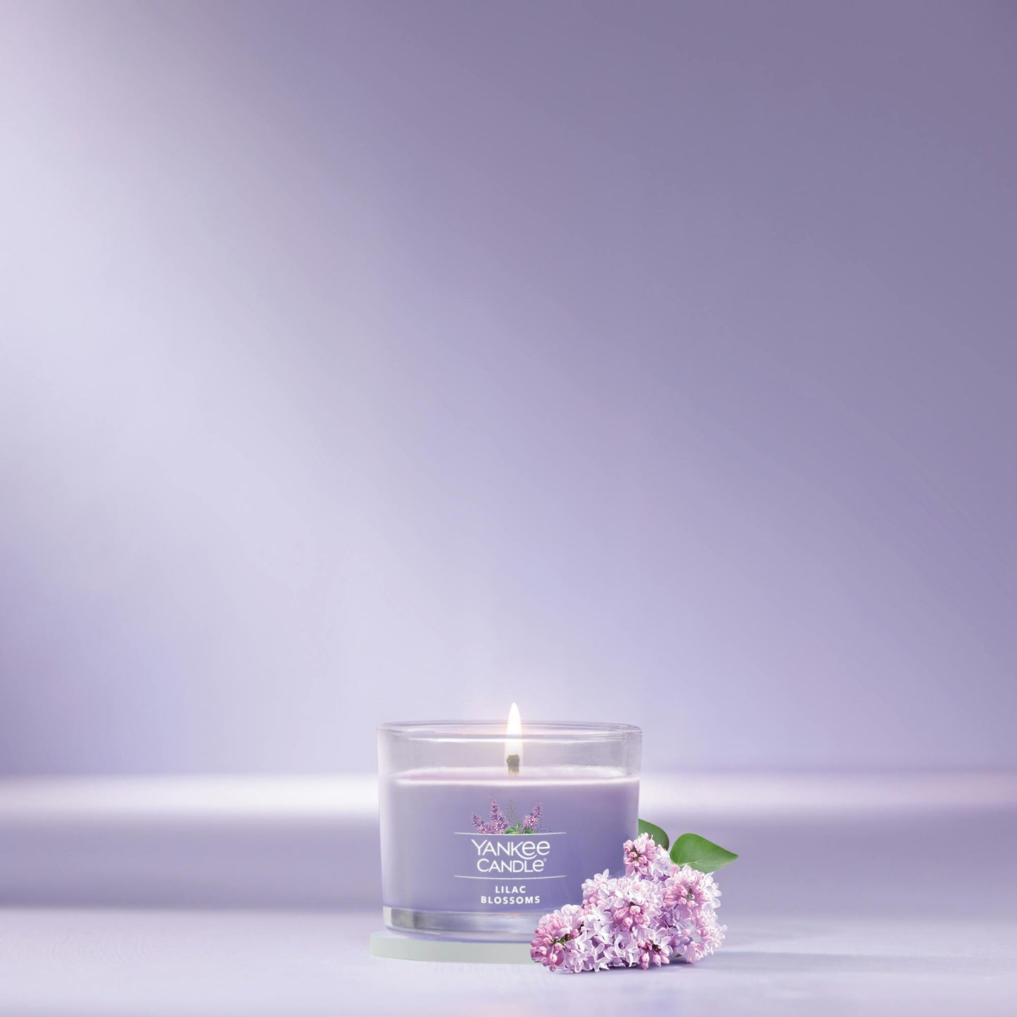 Lilac Blossoms