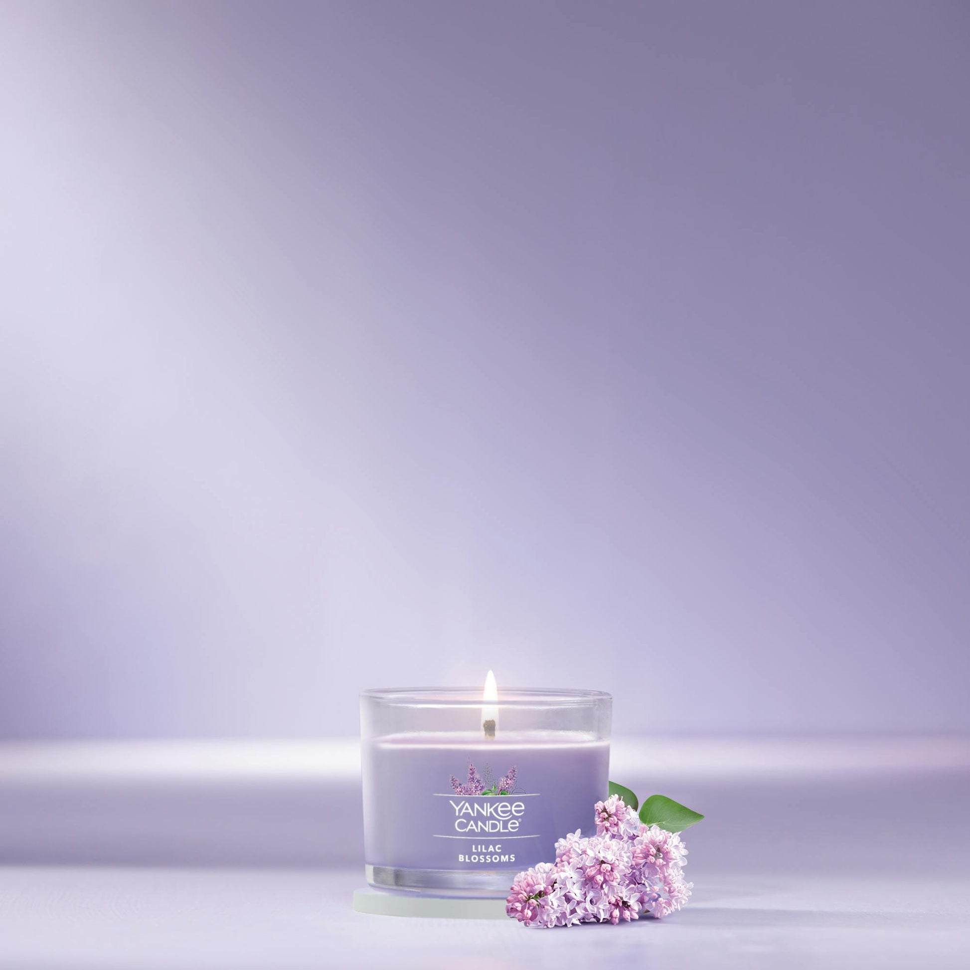 Lilac Blossoms