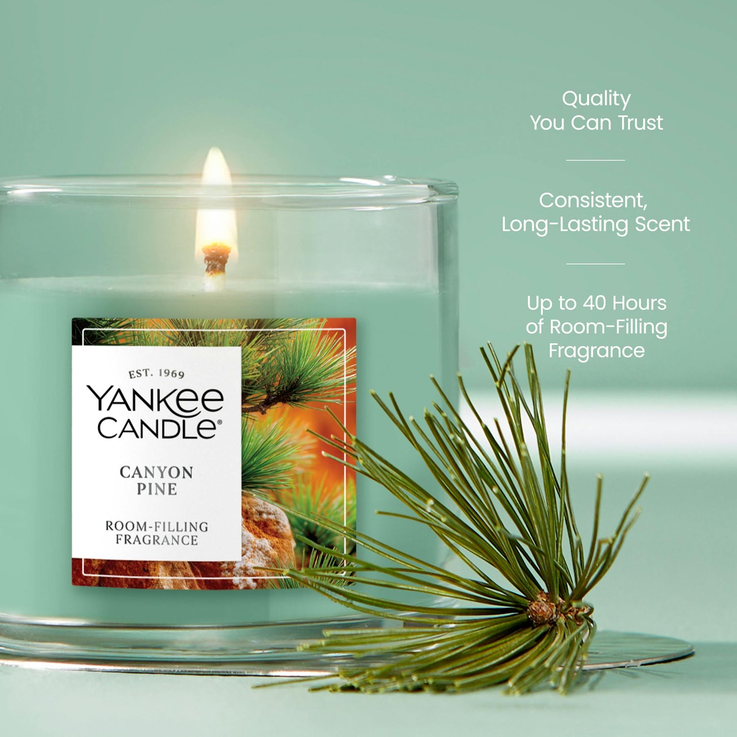 Canyon Pine