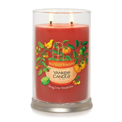 Sun Gold Tomato - Tangy Lime · Tomato Vine