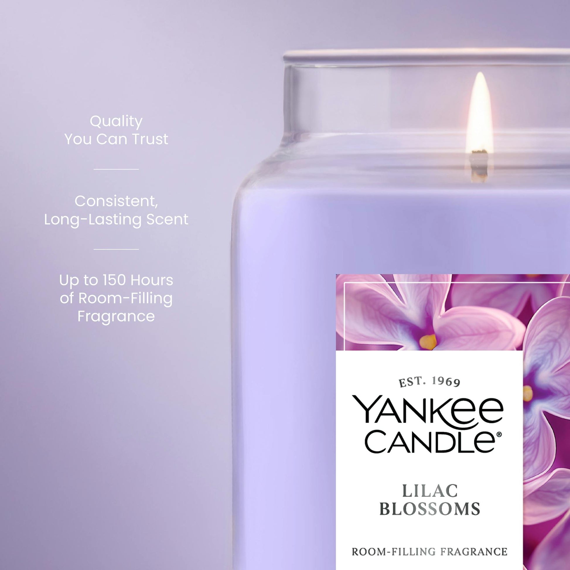 Lilac Blossoms