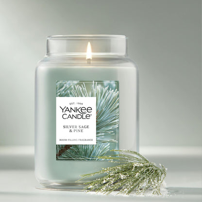 Silver Sage & Pine