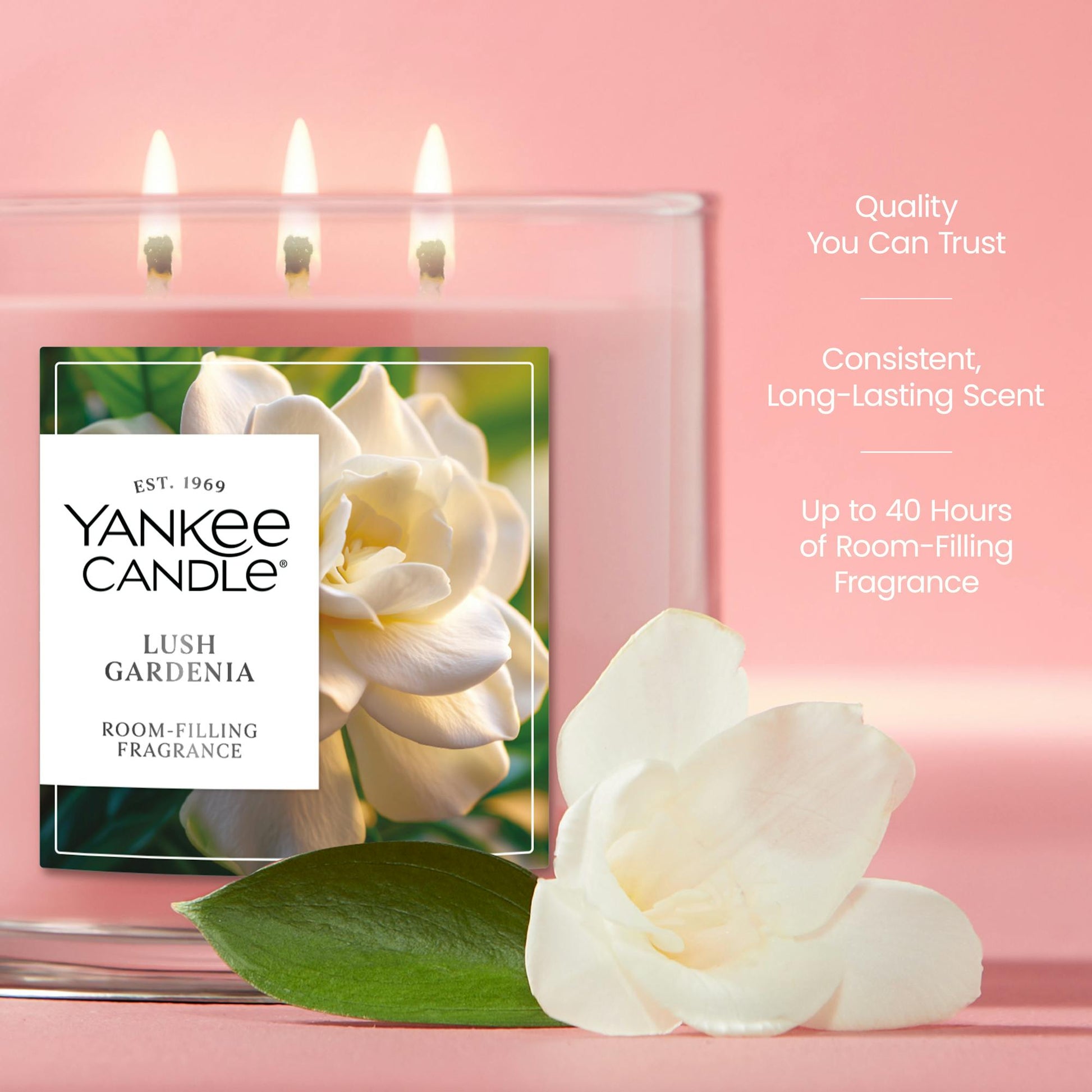 Lush Gardenia