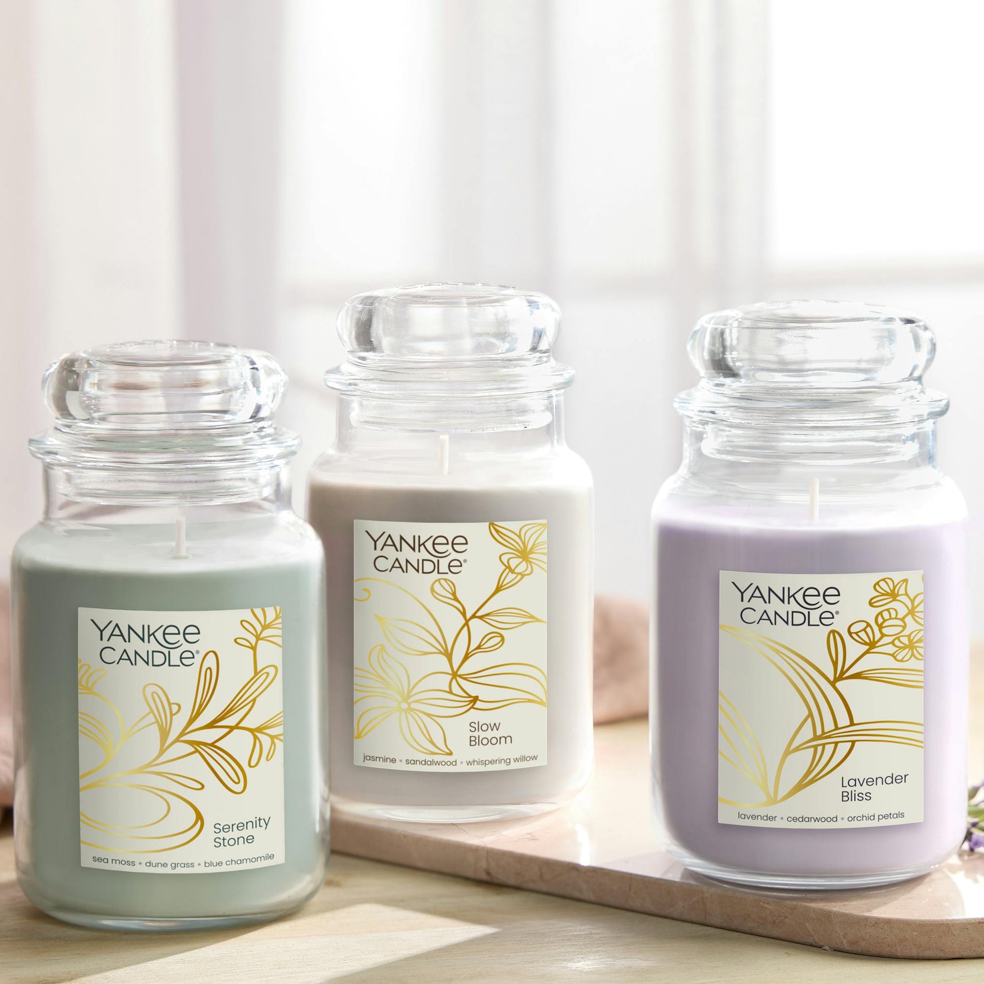 Lavender Bliss