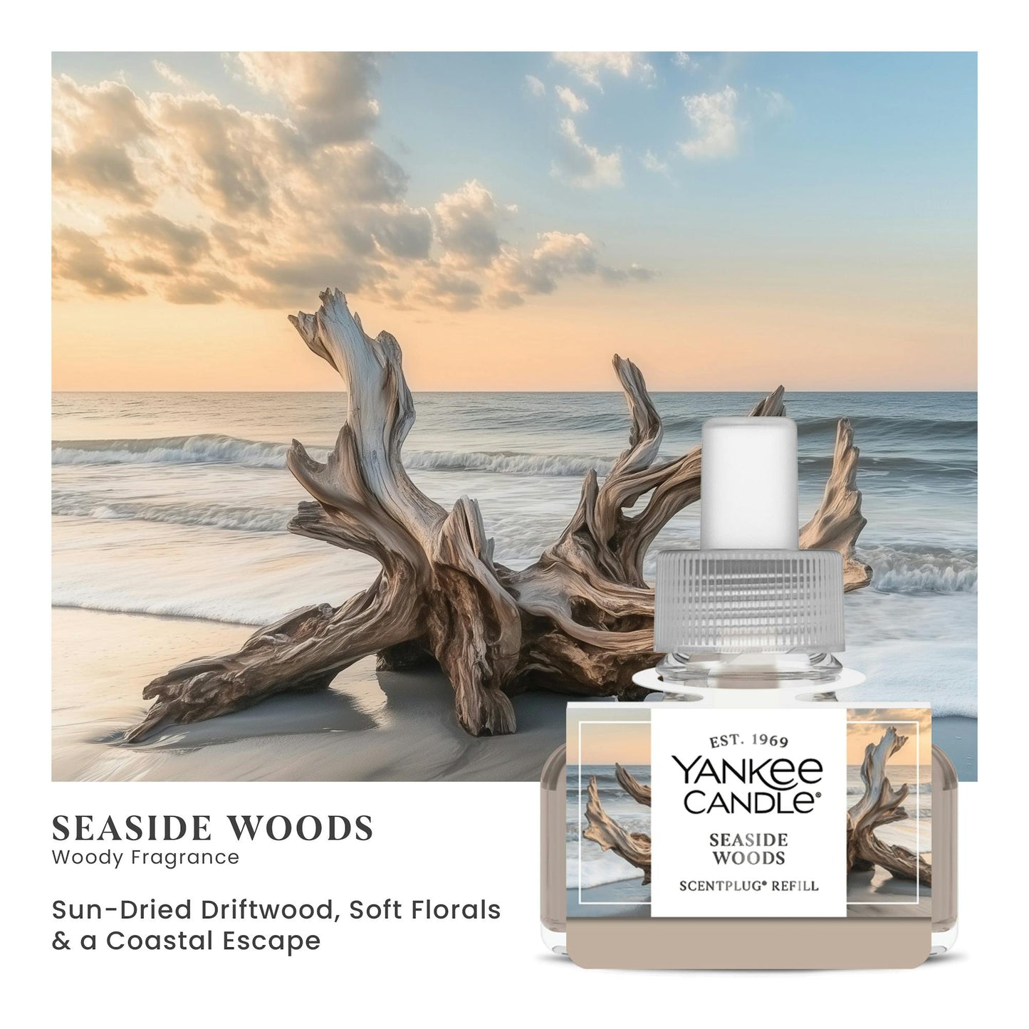 Seaside Woods