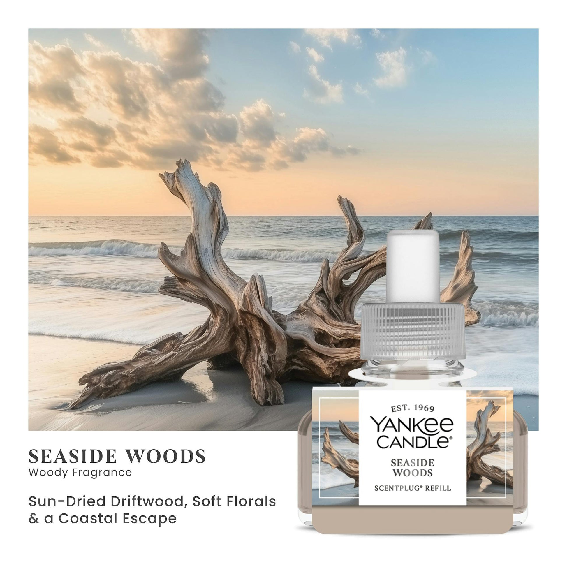 Seaside Woods