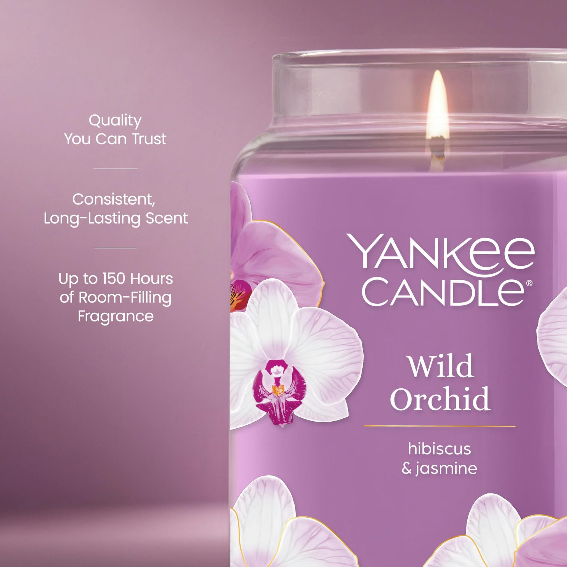 Wild Orchid