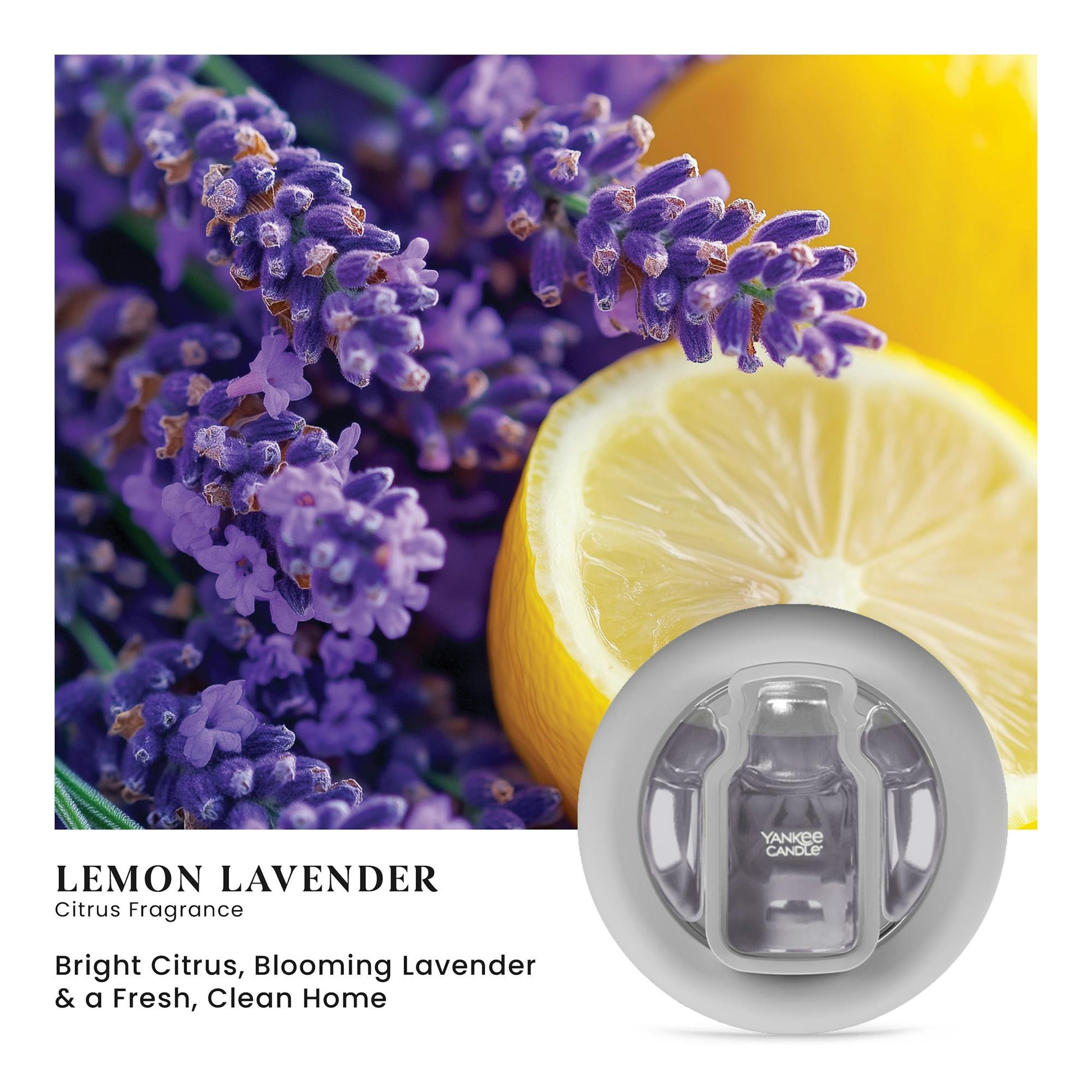 Lemon Lavender