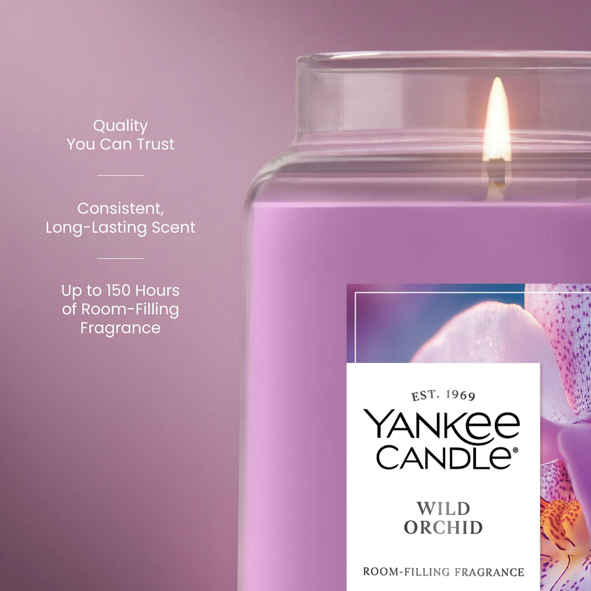 Wild Orchid
