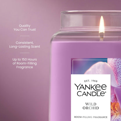 Wild Orchid