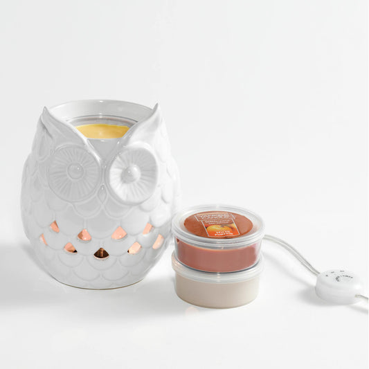 spiced pumpkin warm and cozy meltcups and scenterpiece warmer on table