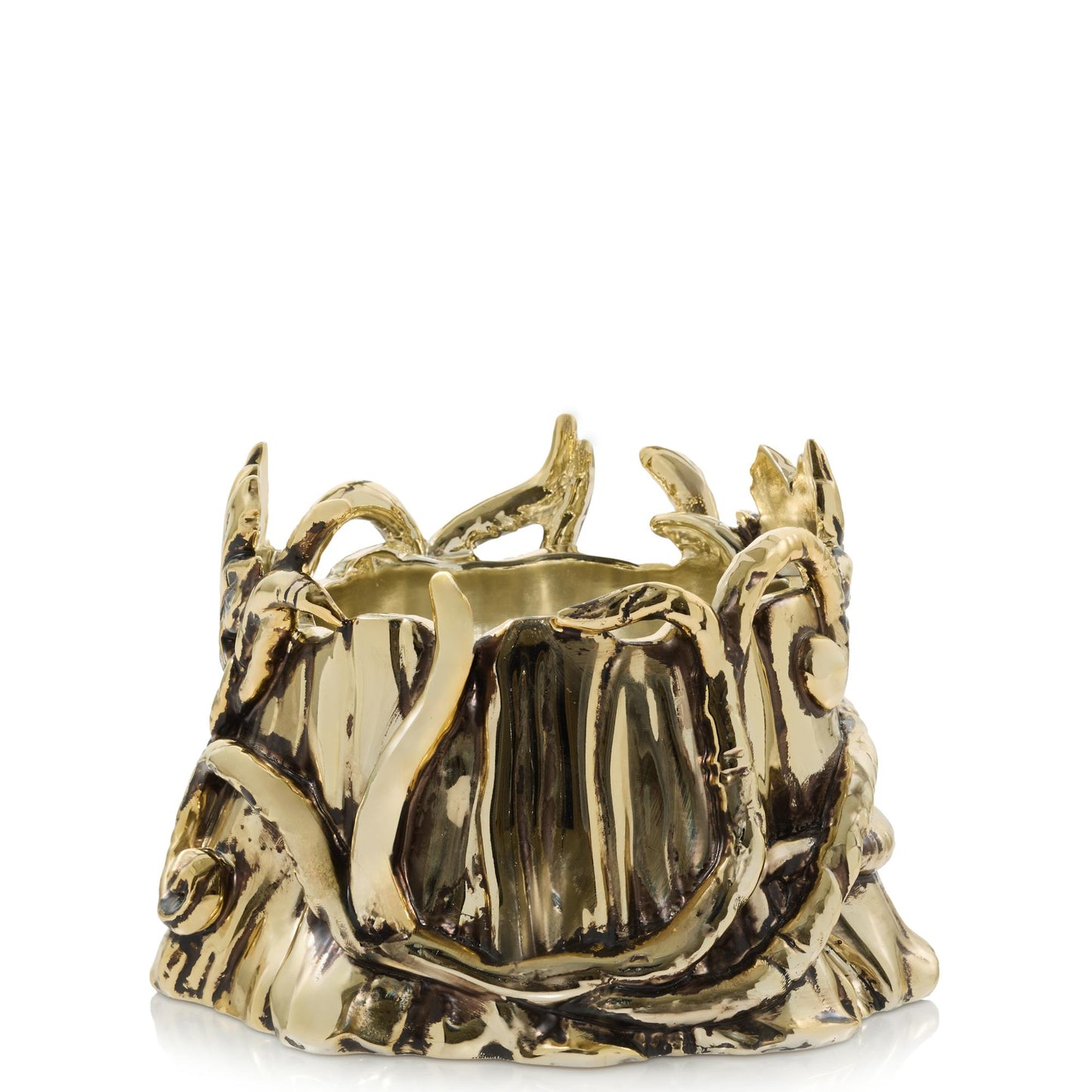 Enchanted Tree Holder