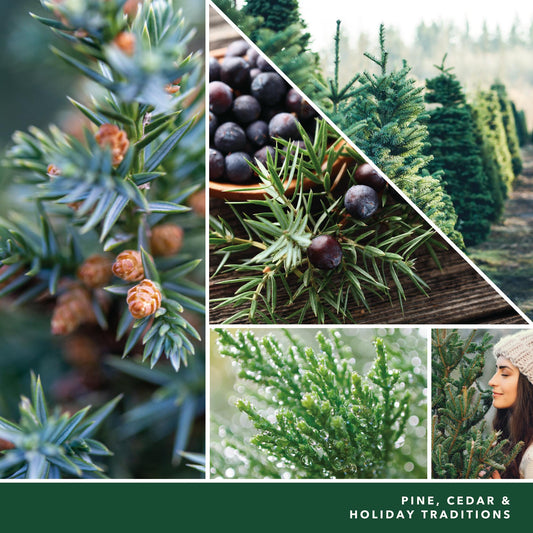 photo collage with text that reads pine, cedar and holiday traditions