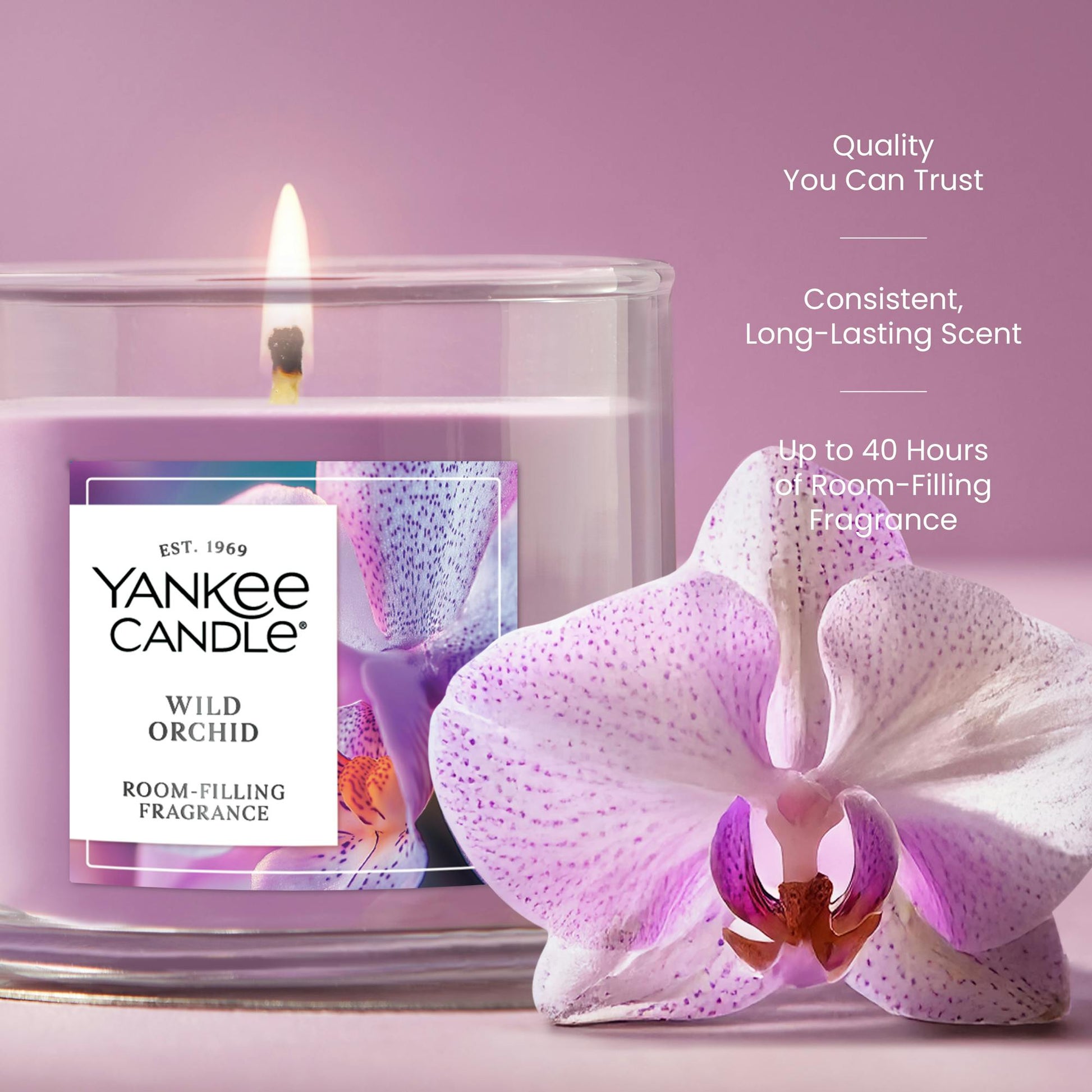 Wild Orchid