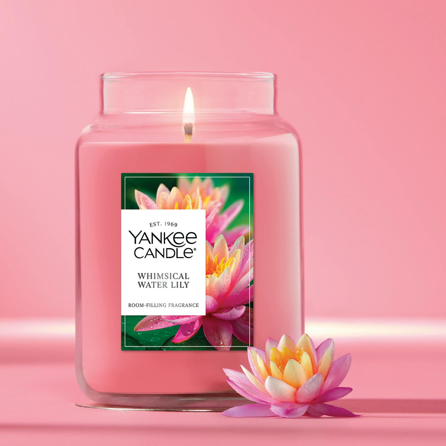 Whimsical Water Lily