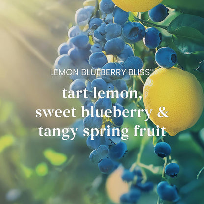 Lemon Blueberry Bliss