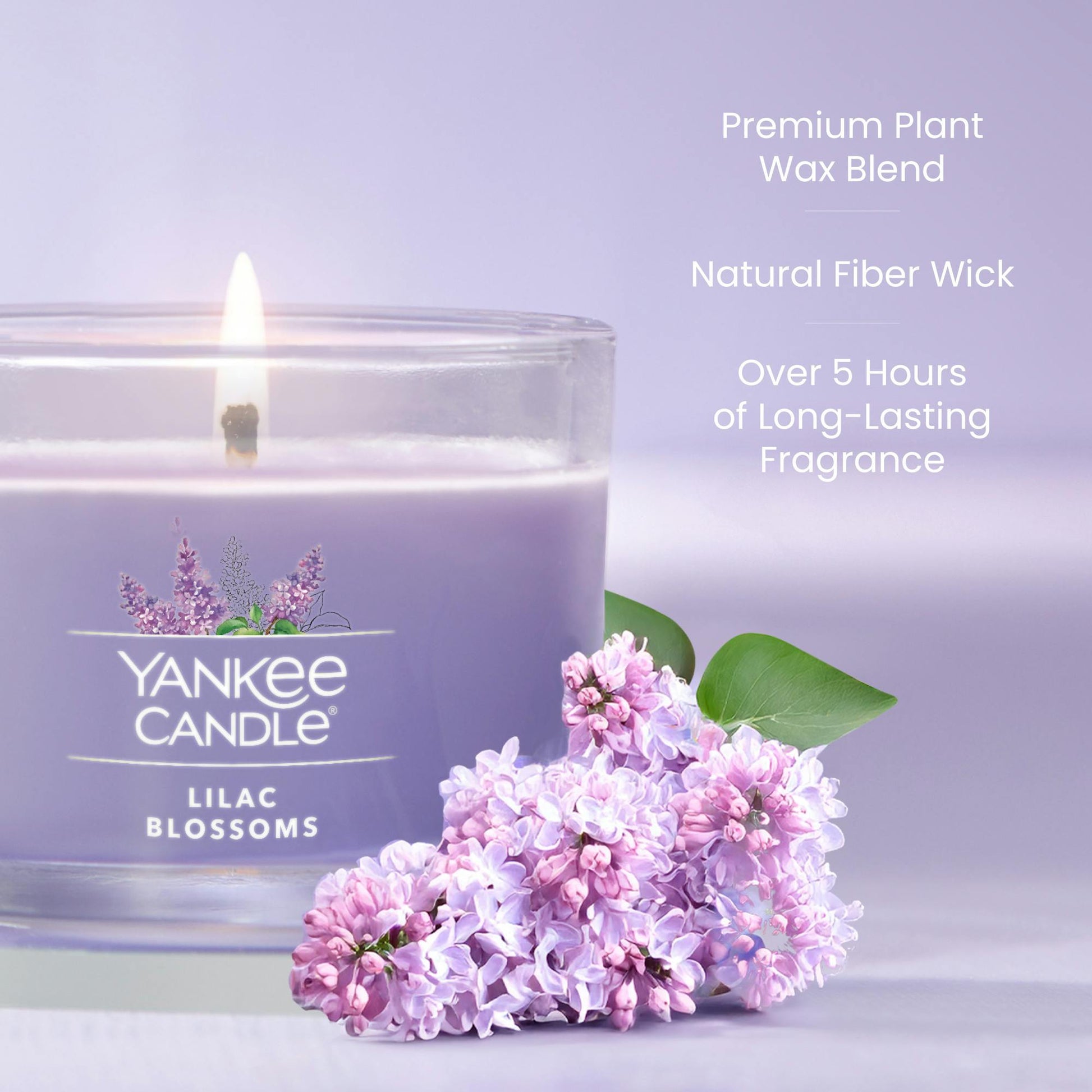 Lilac Blossoms