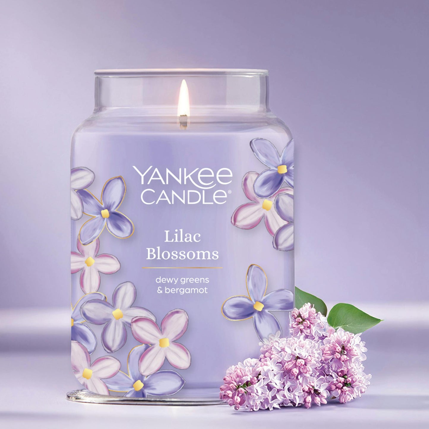 Lilac Blossoms