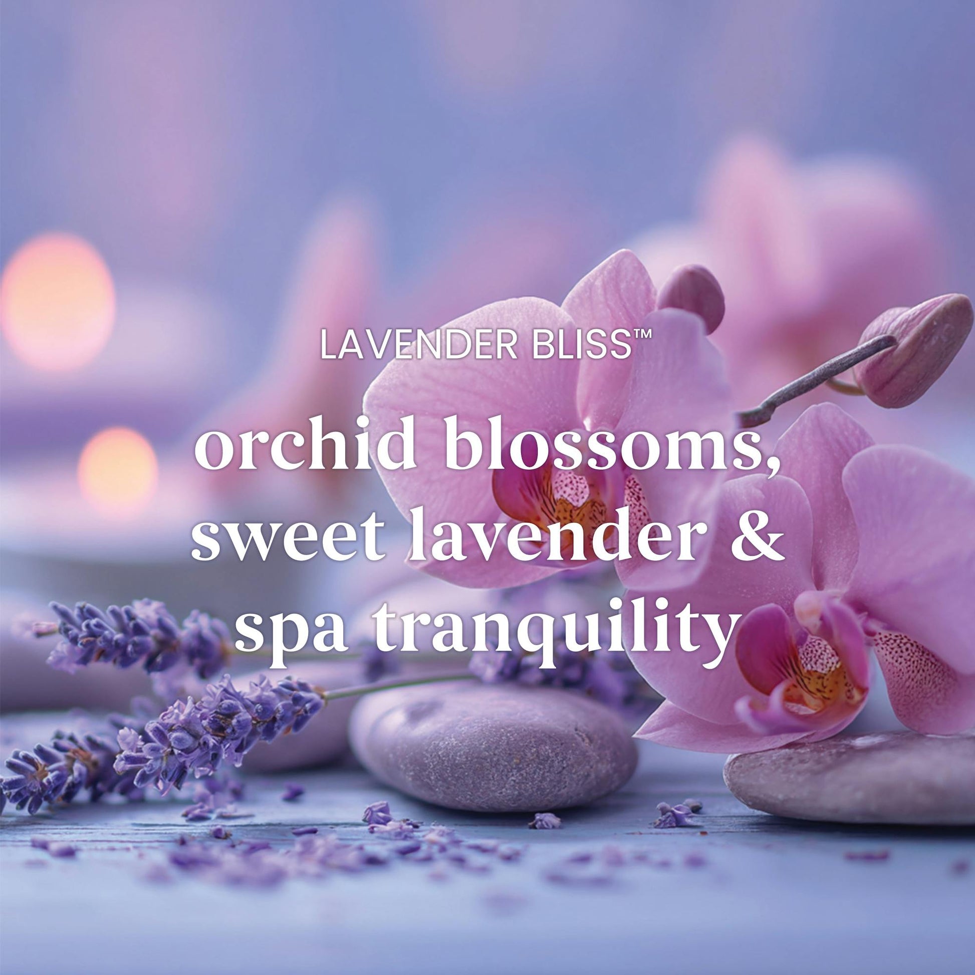 Lavender Bliss