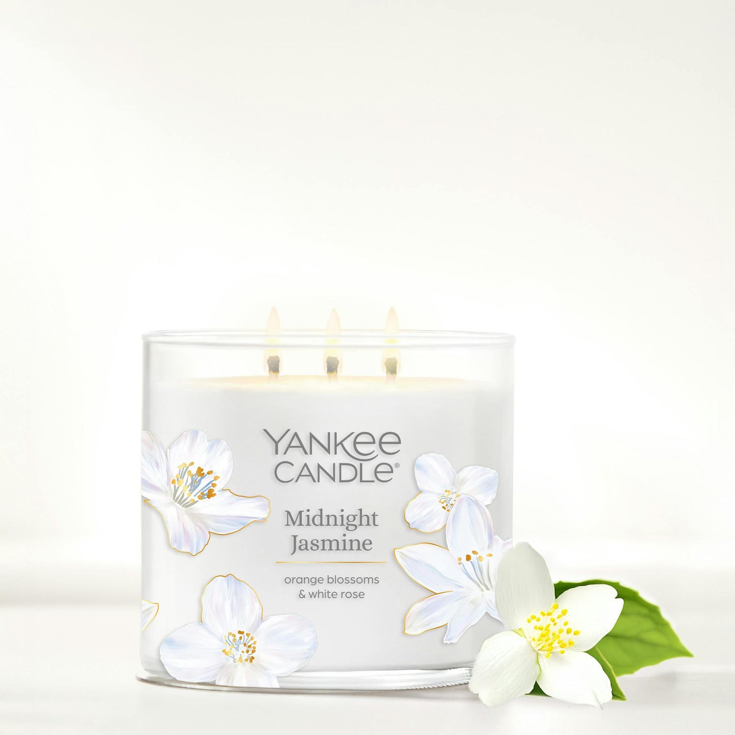Midnight Jasmine