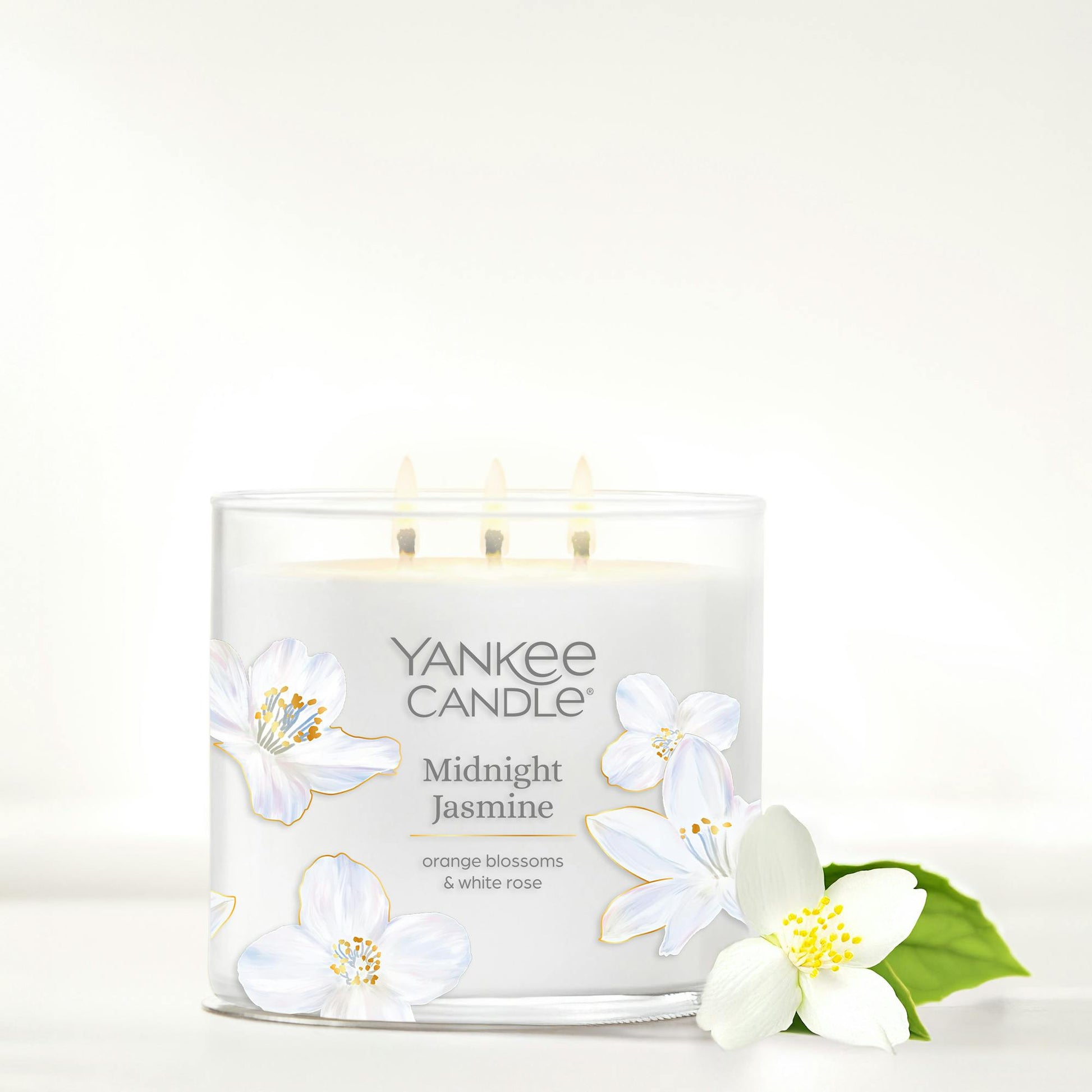 Midnight Jasmine