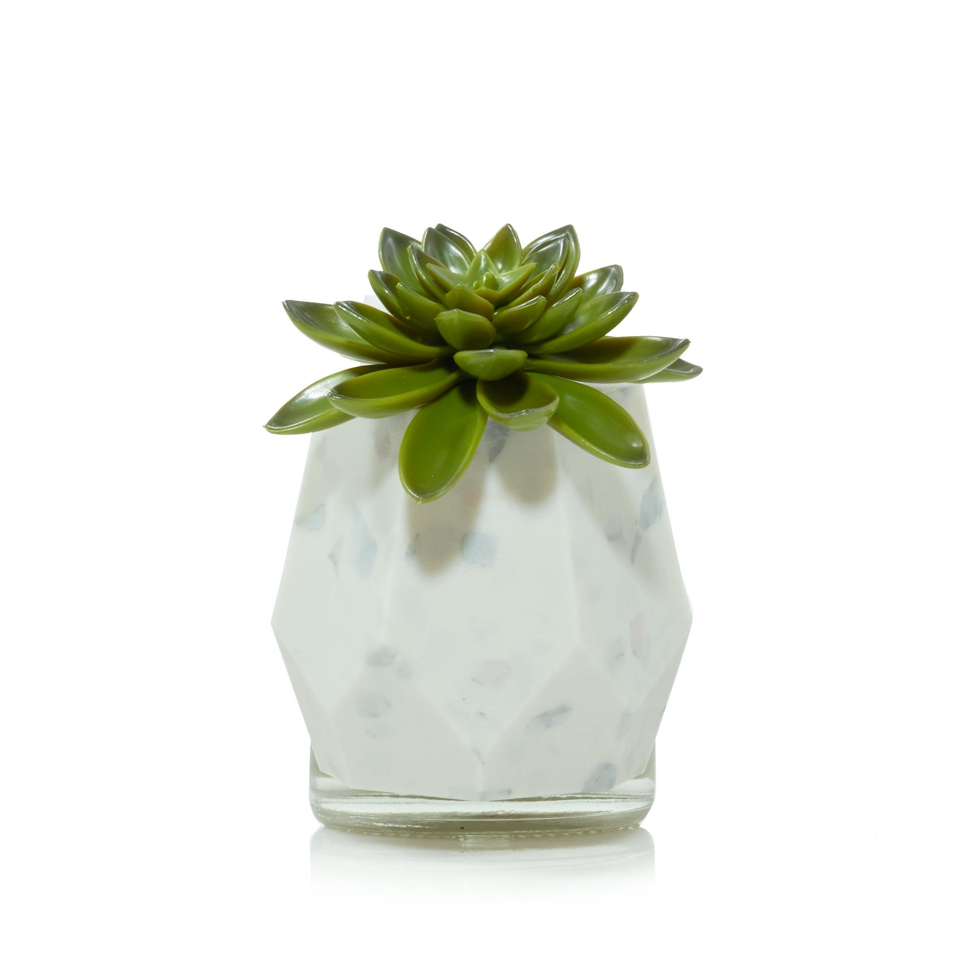 Faceted Succulent