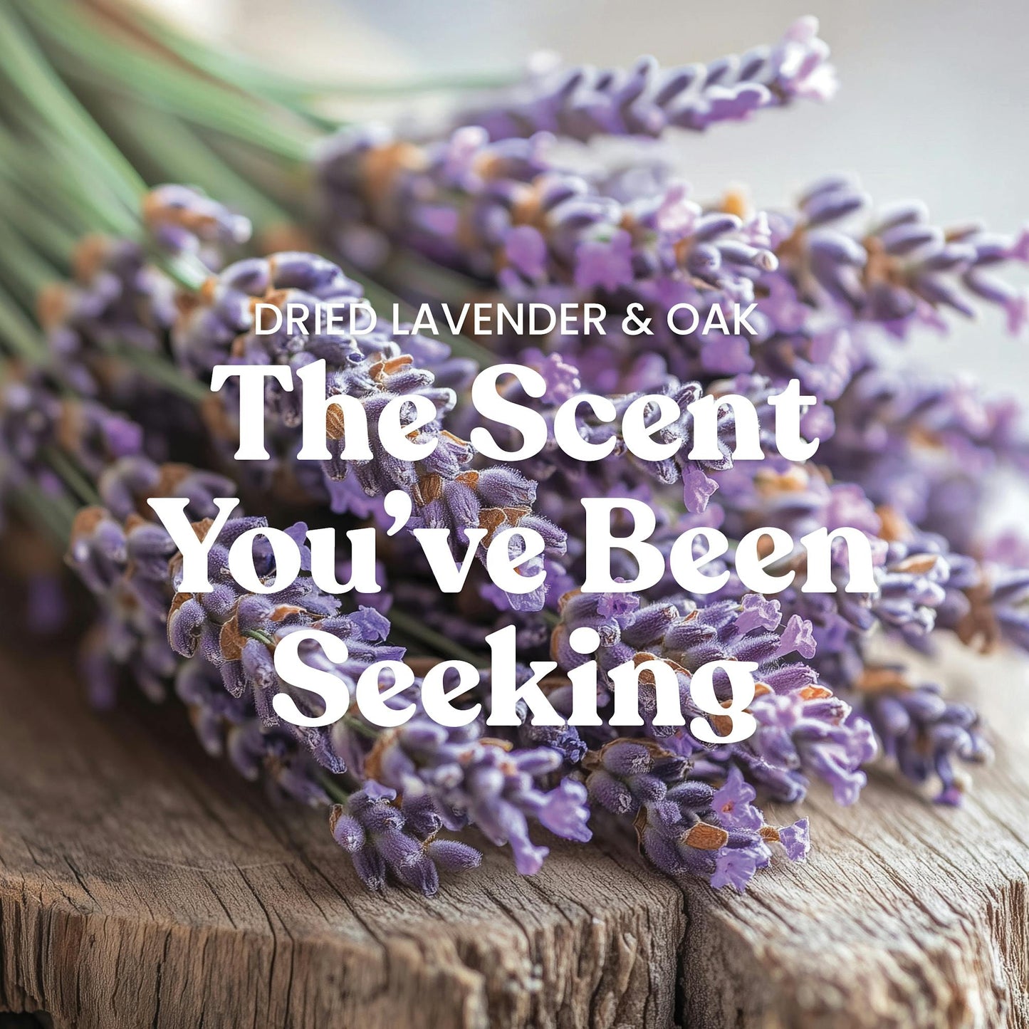 Dried Lavender & Oak​