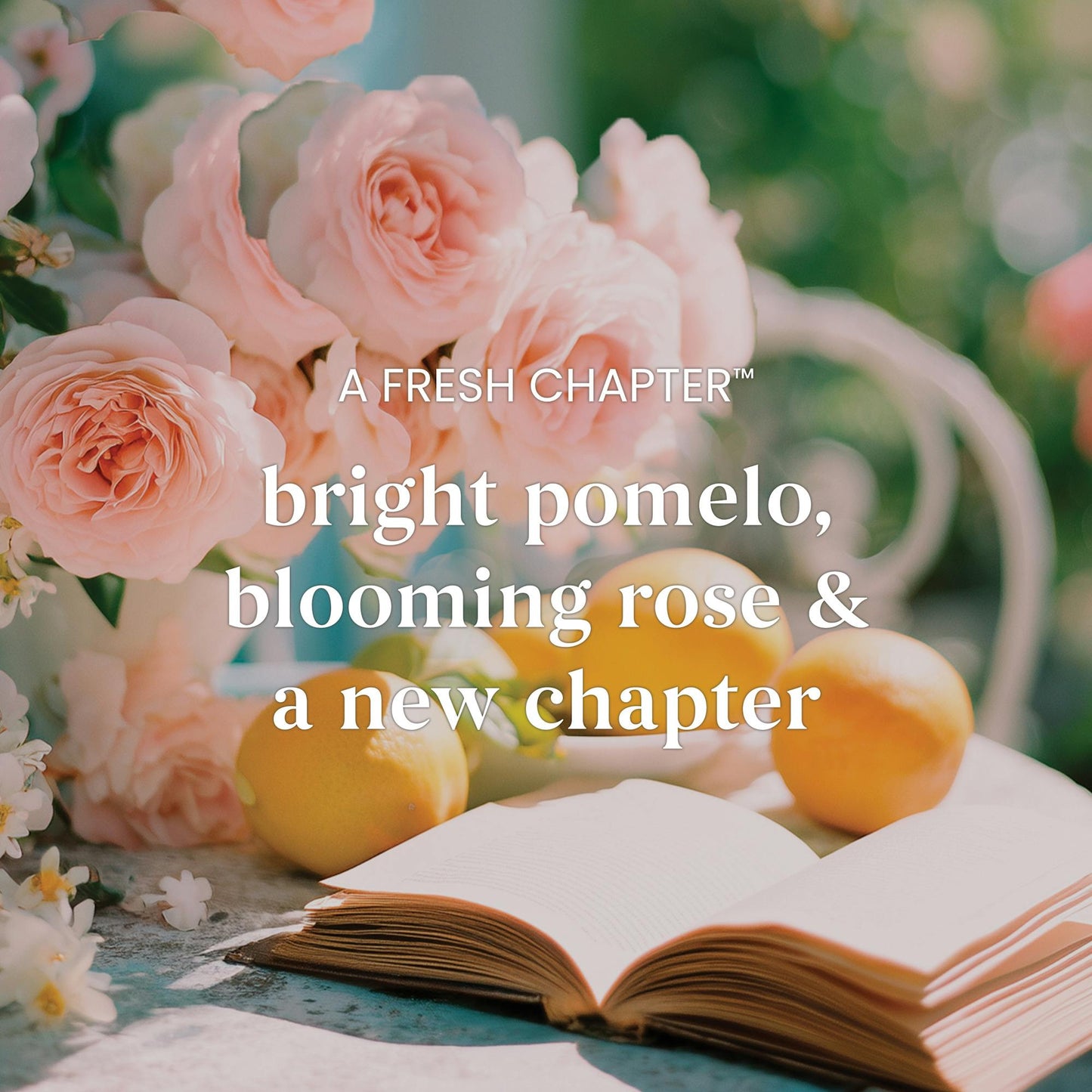 A Fresh Chapter