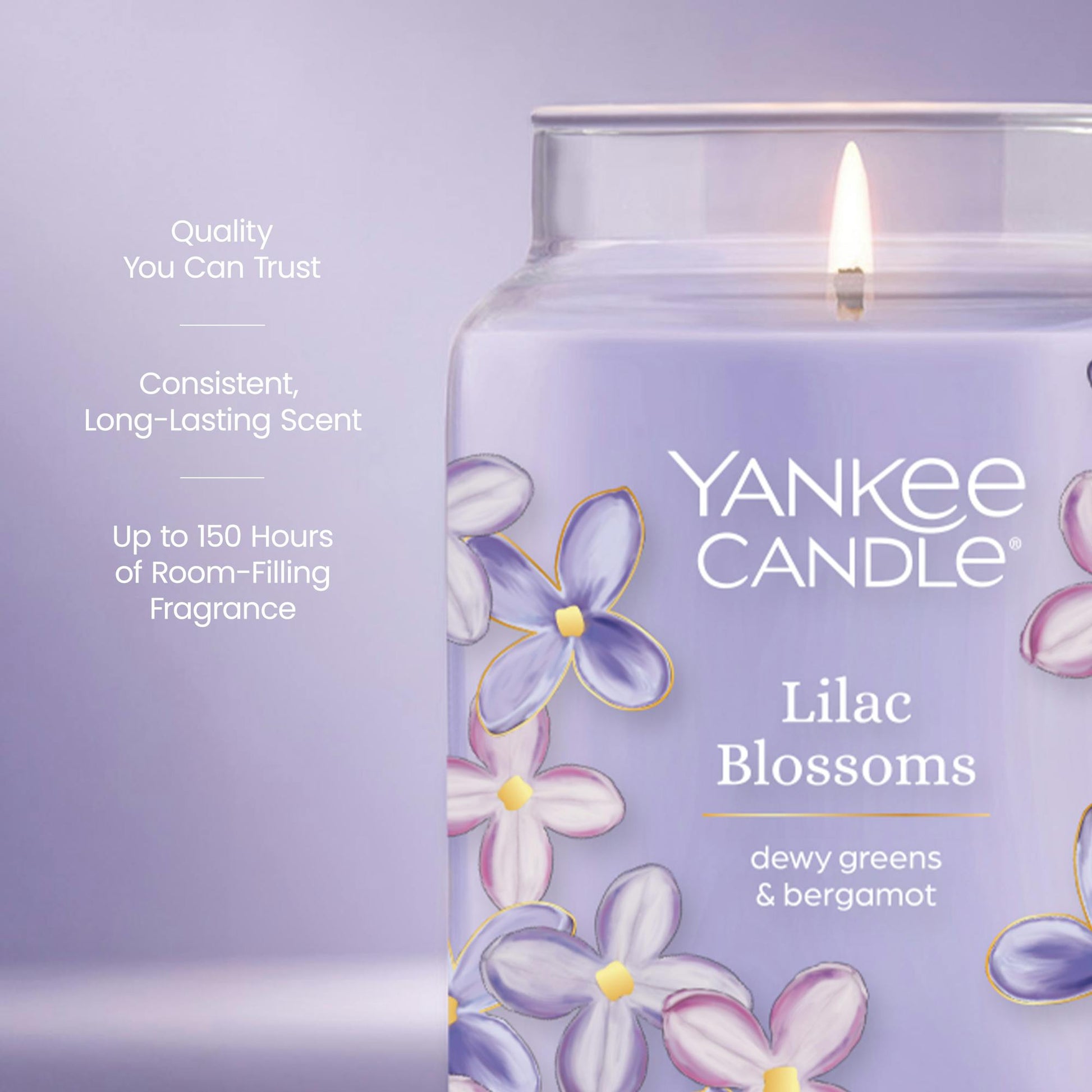Lilac Blossoms