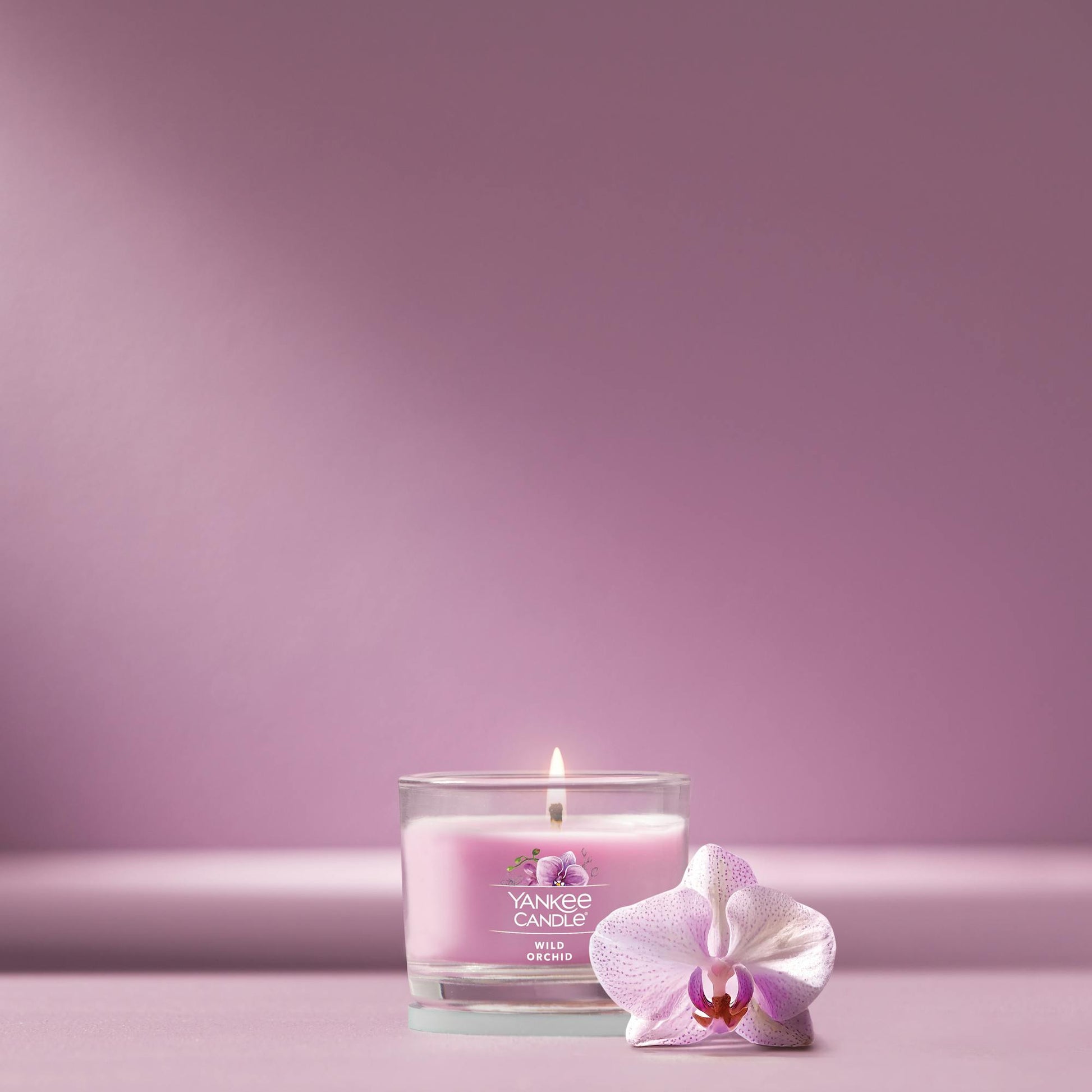 Wild Orchid